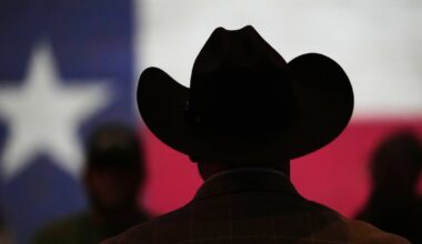 Why are there so many Texas and U.S. elections? Curious Texas has answers