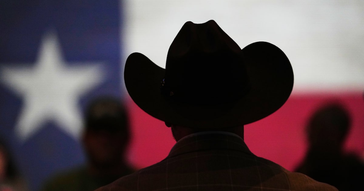 Why are there so many Texas and U.S. elections? Curious Texas has answers