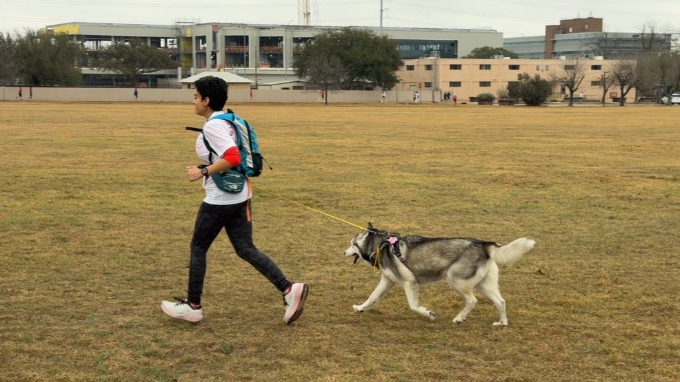 Cupid's Chase 5K (photo: Chikage Windler)