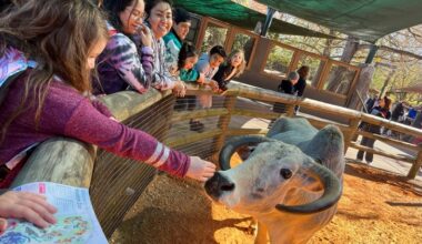 Yahoo lifestyle home