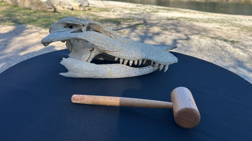 The Museum's Executive Director, Danelle Houk, joined Trevor and Seirra to talk about Georgetown and Williamson County’s “fun and wacky” history and what visitors can check out on display.