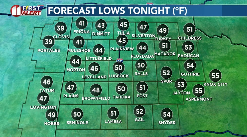 Mild for February overnight temperatures!