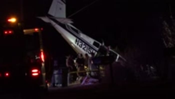 Orlando couple dies in Texas plane crash, dog survives