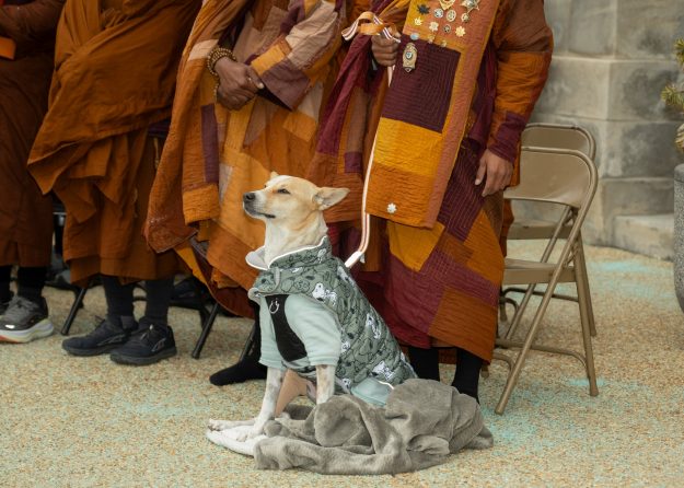 Aloka walk for peace