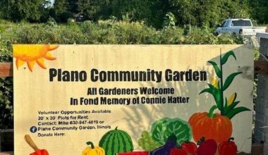 Plano Community Garden to host 2026 kickoff meeting | Wspynews