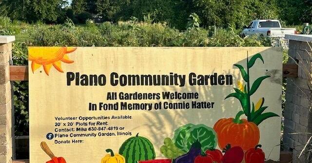 Plano Community Garden to host 2026 kickoff meeting | Wspynews