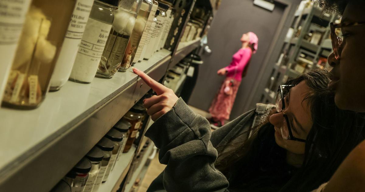 UTA Amphibian and Reptile Diversity Research Center to host public tour | Campus