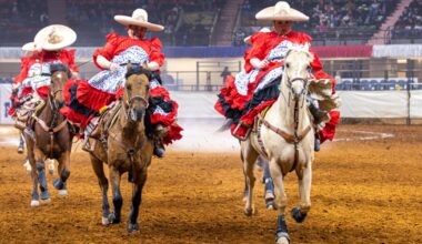 Escaramuza riders bring Mexican culture to the Fort Worth Stock Show and Rodeo | News