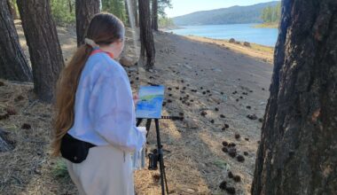 ART VALET: Defying Stereotypes: Faith Leskowitz paints Houston's calm beauty | The Arts