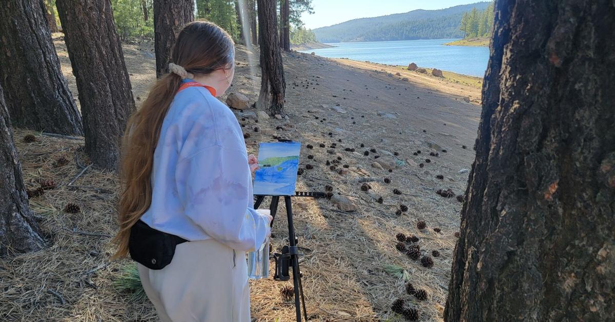 ART VALET: Defying Stereotypes: Faith Leskowitz paints Houston's calm beauty | The Arts