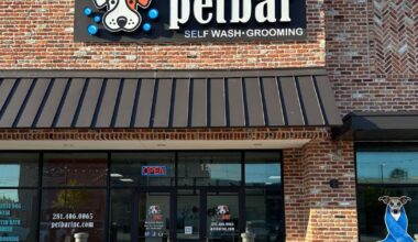 petbar: From corporate careers to community hub | Business