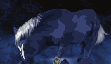 COLUMN: Midseason review of the Dallas Mavericks one year after Luka Dončić trade | Sports