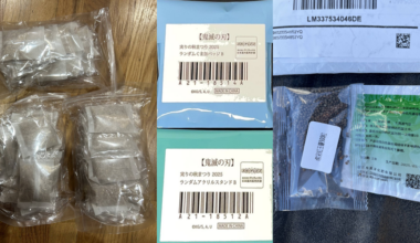 Texas agriculture officials warn of surge of unsolicited seed packages | Central Texas