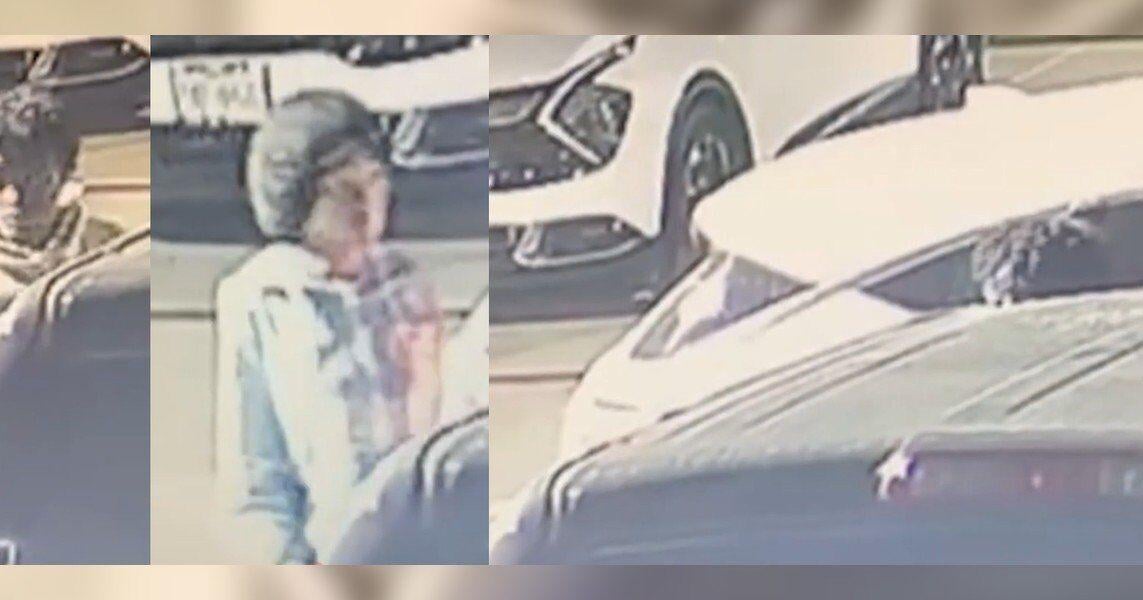 Austin police seek publics help in identifying suspects in catalytic converter thefts | North Texas