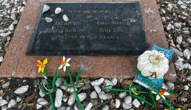 Judge declares 4 men wrongly accused of 1991 Austin yogurt shop murders innocent | Missouri News