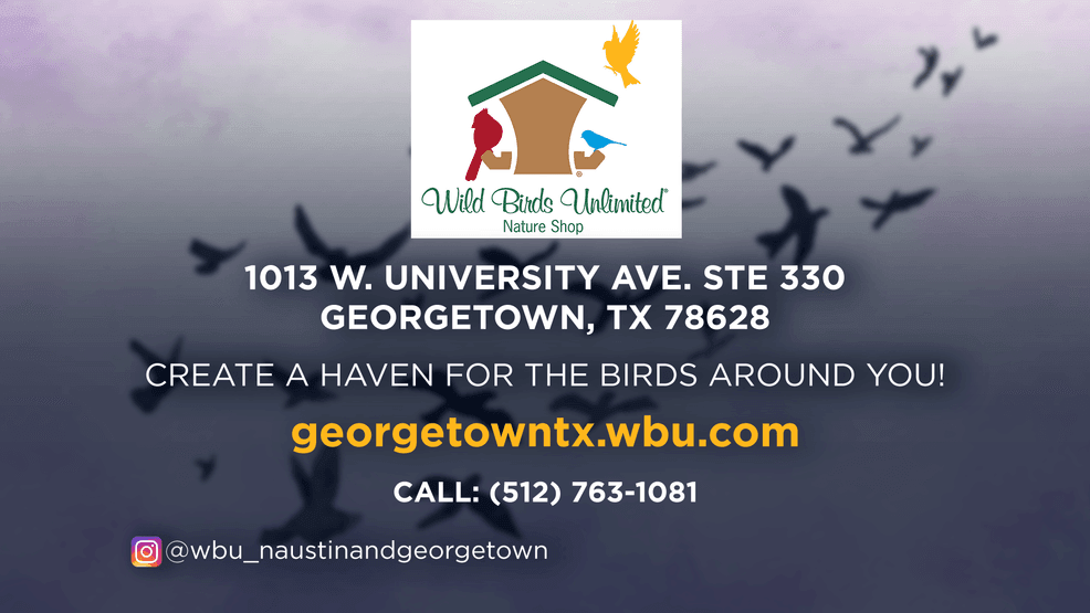 Out & About LIVE in Georgetown! Nature meets neighbors at Wild Birds Unlimited