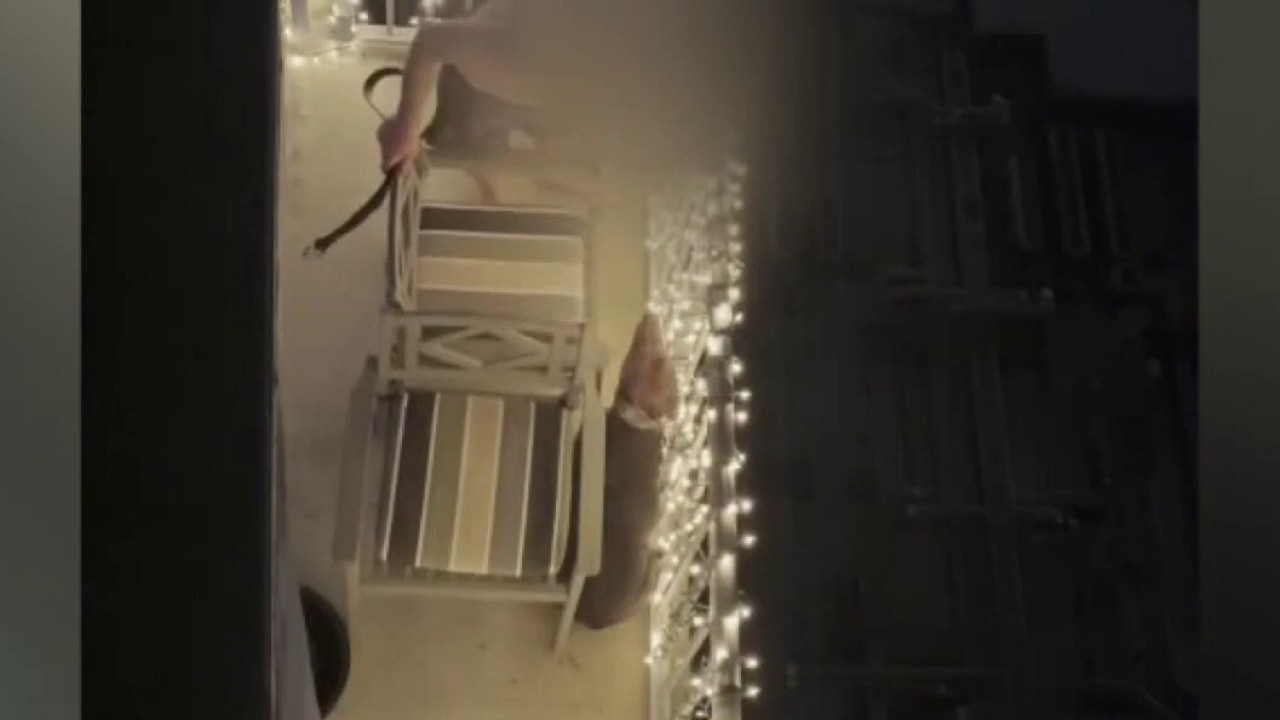 Hearing for man accused of dog abuse