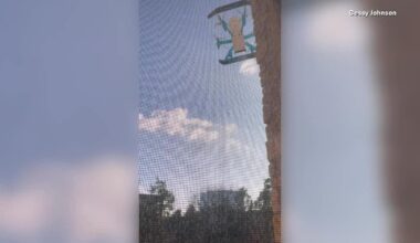 VIDEO: Amazon delivery drone crashes in North Texas