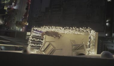 Austin police arrest man accused of abusing dog on downtown apartment balcony