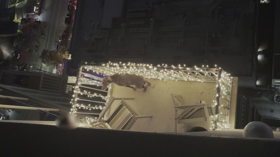 Austin police arrest man accused of abusing dog on downtown apartment balcony