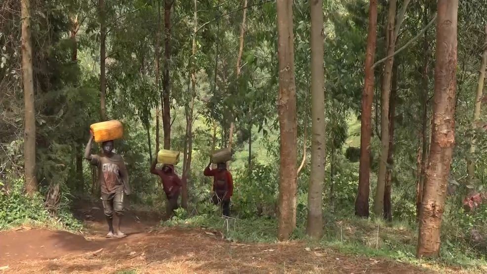 Burundi (photo: Gazelle Foundation)