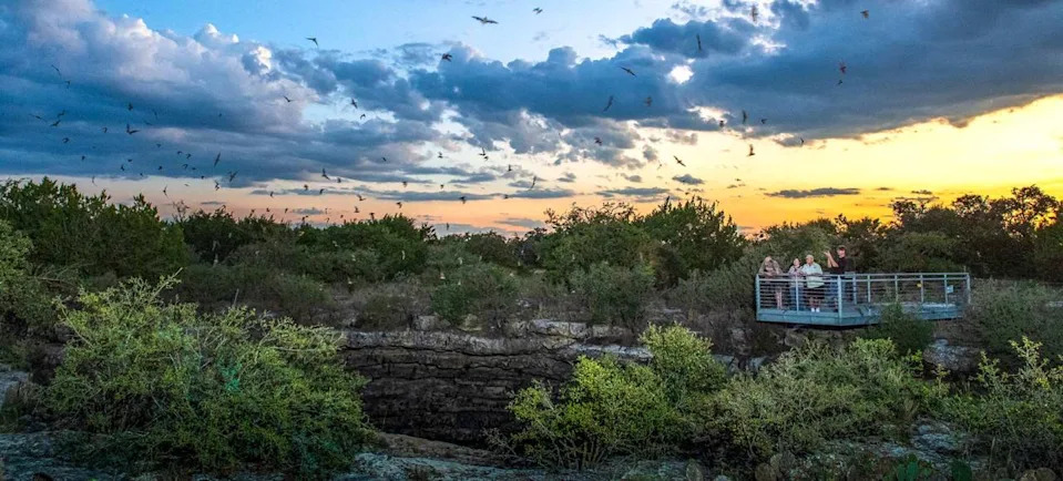 Devil's Sinkhole State Natural Area (Texas Parks and Wildlife Department photo)