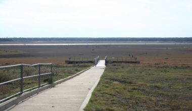 The year the rivers ran dry: Remembering the Texas drought of 2011