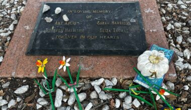 Men once wrongfully accused of Austin yogurt shop murders seek formal exoneration :: WRAL.com