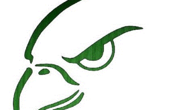 Harlingen South Hawks vs. Corpus Christi Veterans Memorial Eagles