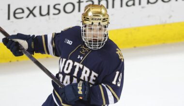 Notre Dame hockey player brings Texas grit to South Bend
