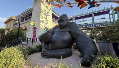 San Antonio Zoo to offer $8 admission on Saturday for Locals Day