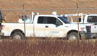 Dead geese removed near Lubbock water treatment plant amid bird flu outbreak