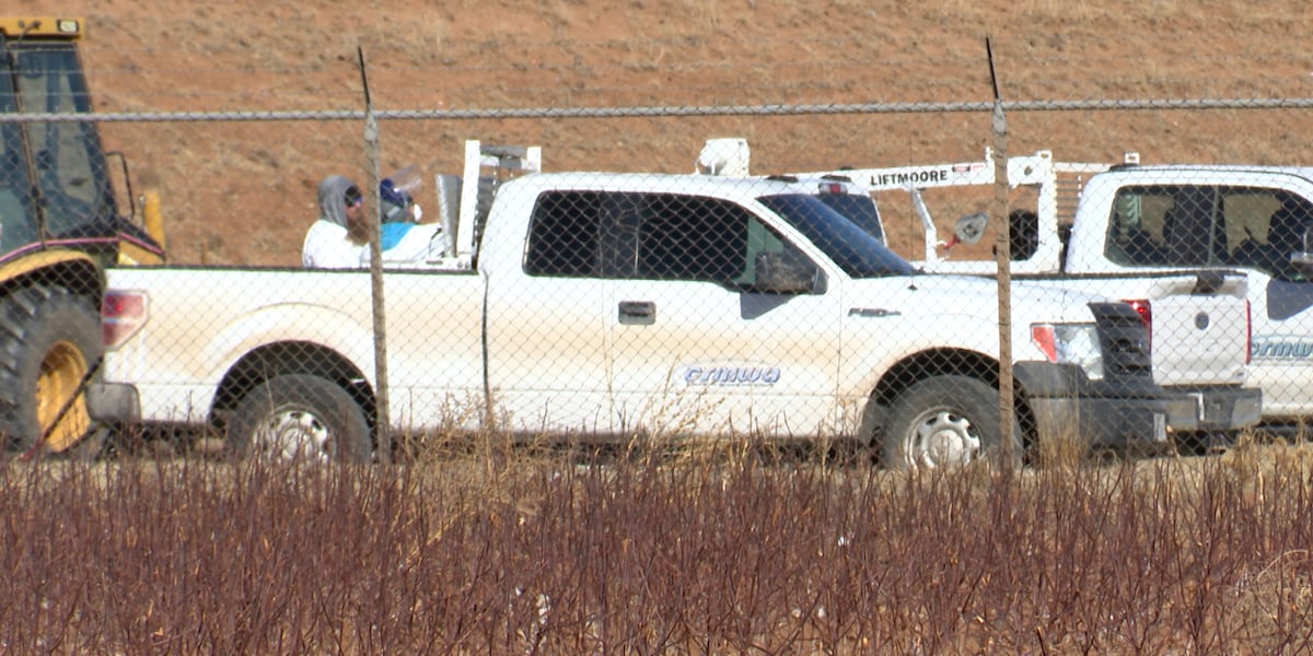 Dead geese removed near Lubbock water treatment plant amid bird flu outbreak