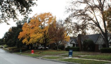 Storm drain project coming to central Arlington Heights mid-March