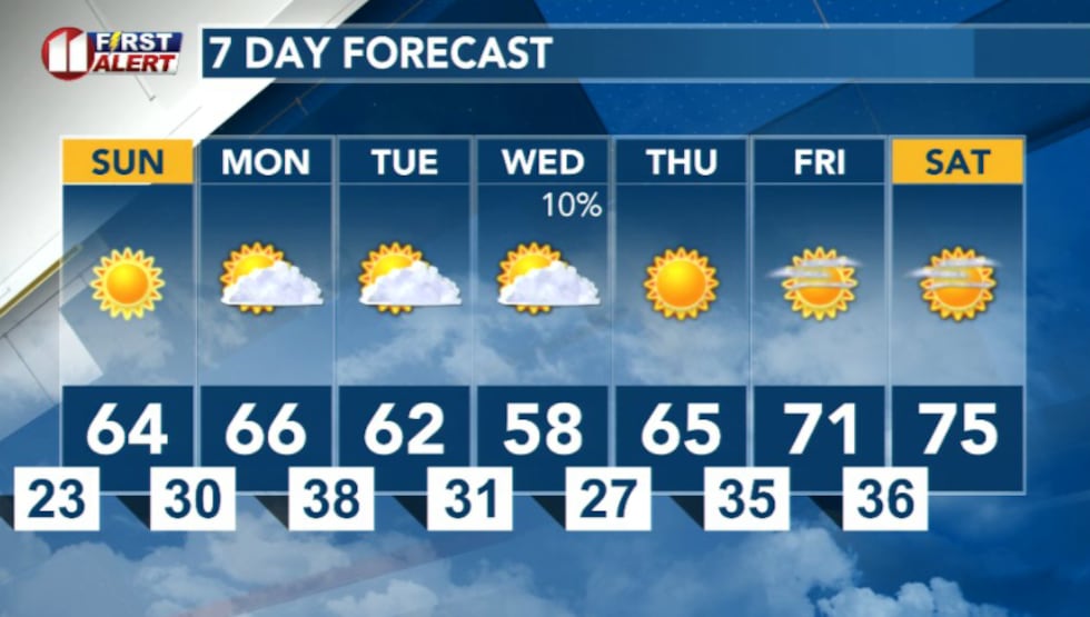 7 Day Forecast