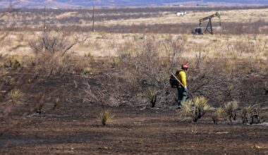 Xcel Energy ordered to replace poles, conduct inspections after Texas wildfire lawsuit