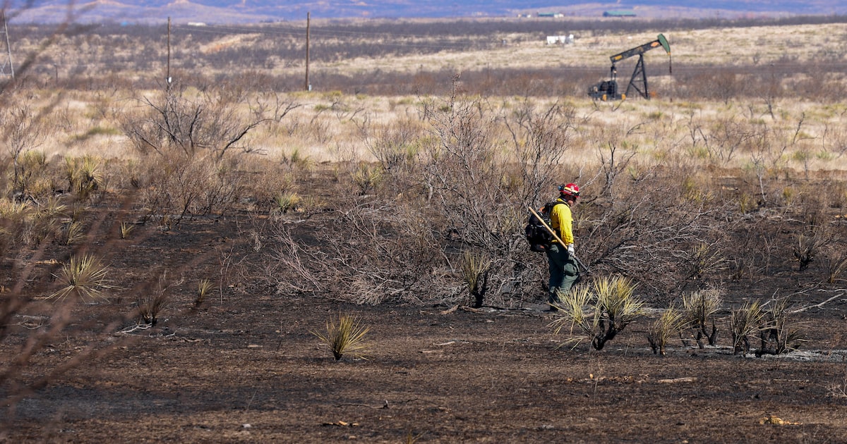 Xcel Energy ordered to replace poles, conduct inspections after Texas wildfire lawsuit