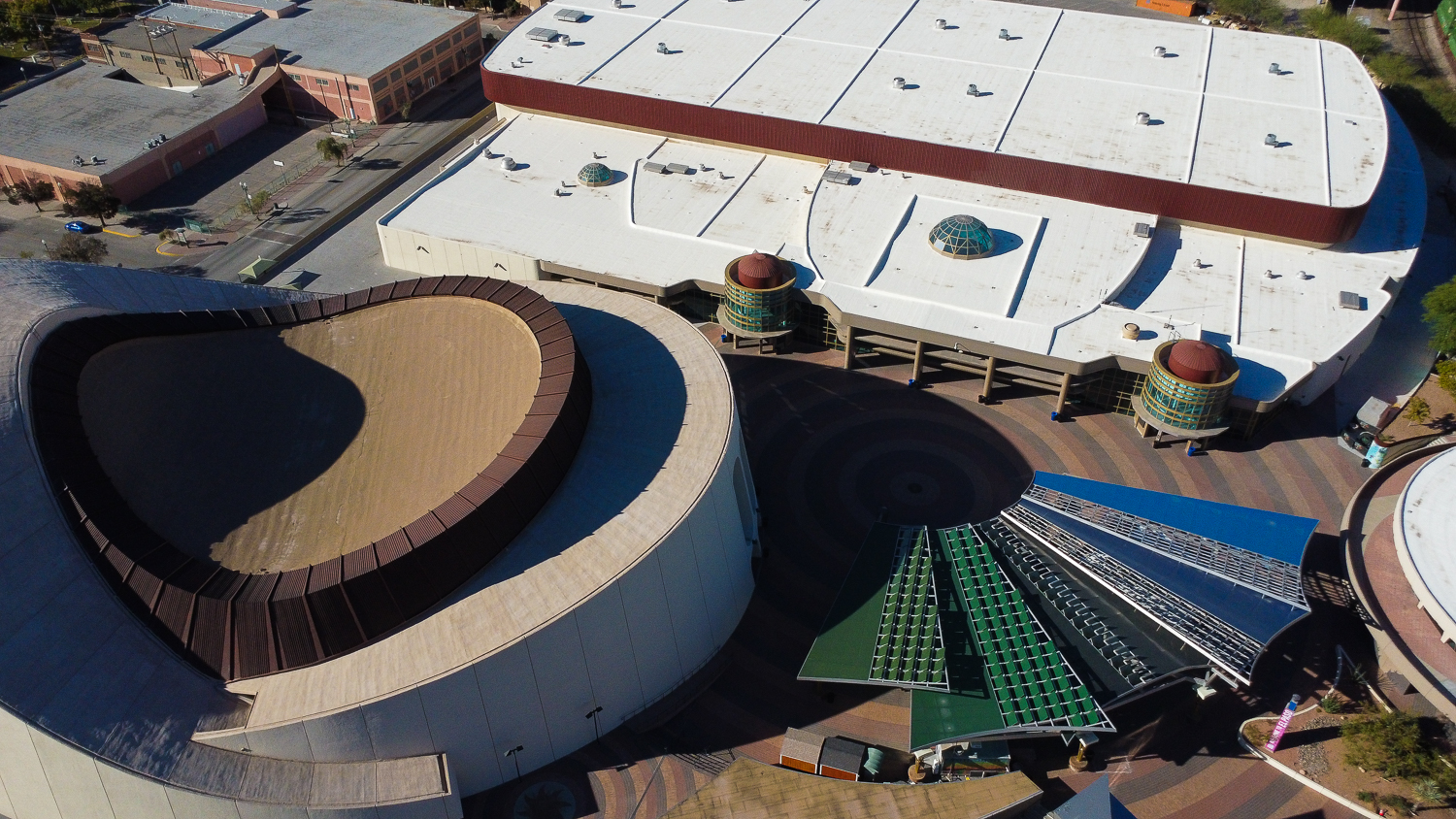 El Paso Zoo lion’s Super Bowl prediction, Black History Month events continue