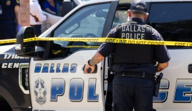 Dallas is moving the needle on crime