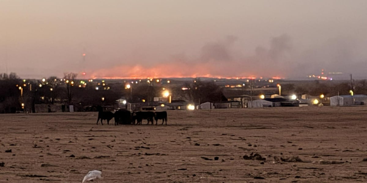 State lawmakers give update on wildfire response & protecting West Texas
