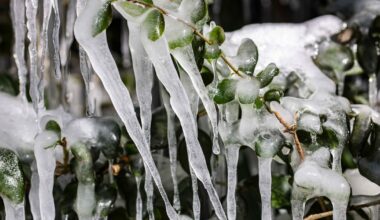 Five years on in Texas, Winter Storm Uri’s legal fallout has yet to be resolved