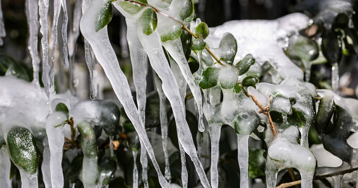 Five years on in Texas, Winter Storm Uri’s legal fallout has yet to be resolved