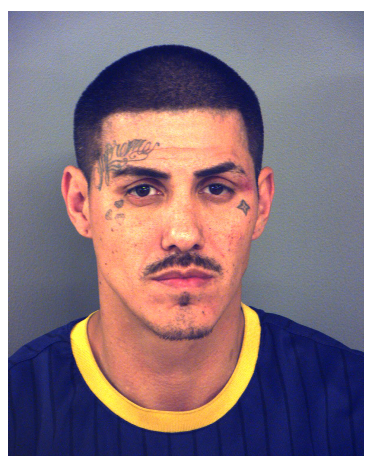 Wanted man faces multiple charges after foot chase with deputies