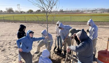 El Paso County seeks tree volunteers; UTEP installs Narcan machine