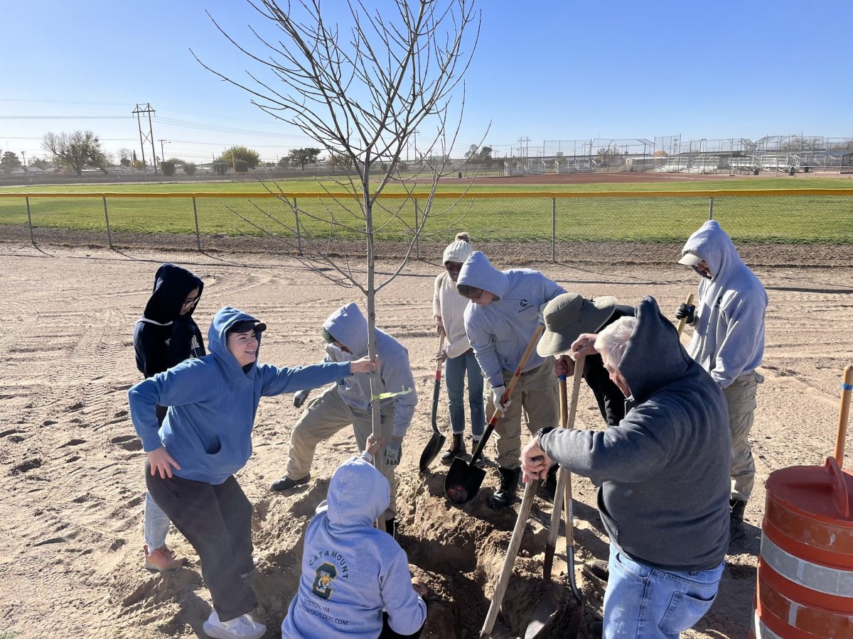 El Paso County seeks tree volunteers; UTEP installs Narcan machine