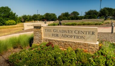 Fort Worth, national adoption organizations call for exemptions to Trump’s travel ban