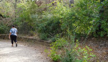 Parks staff set tree planting goal in honor of Arlington’s 150th birthday