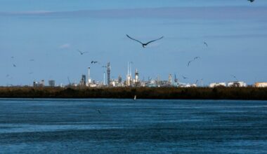 Dow Chemical Seadrift