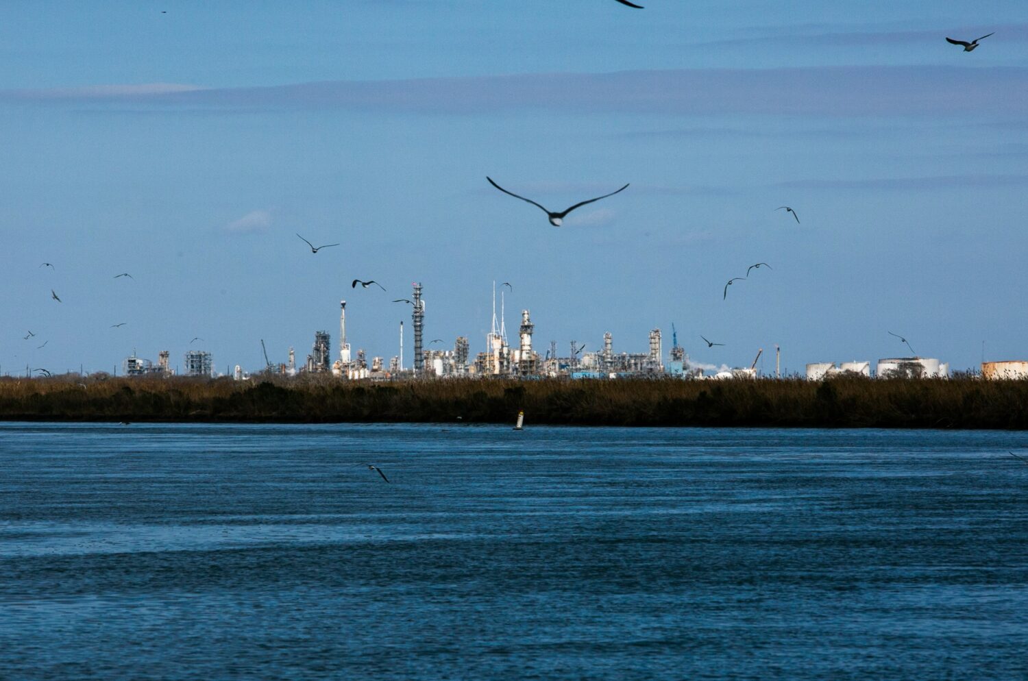 Dow Chemical Seadrift