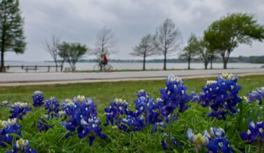 A cloudy Sunday starts off an overcast week in North Texas. Will there be rain?